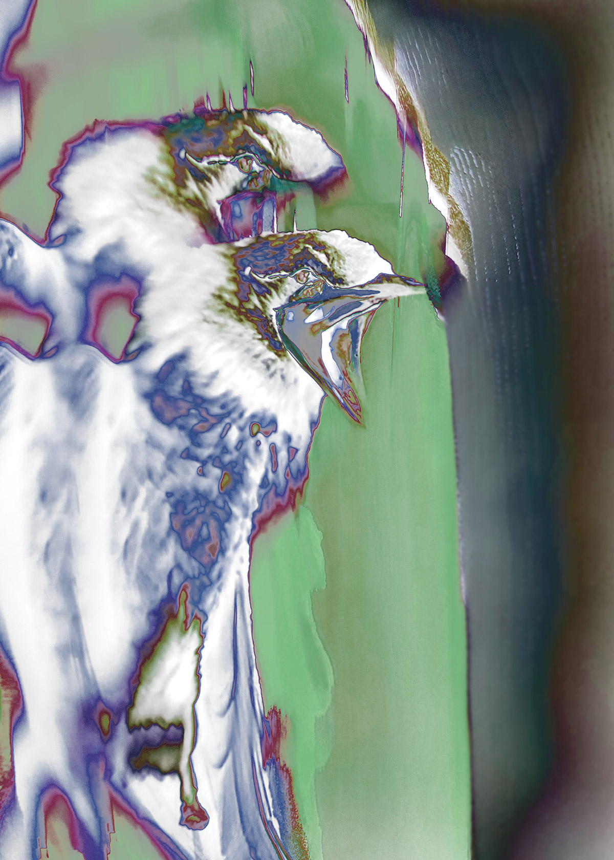 Synthetic Refugium 23 gallery Ewa Doroszenko