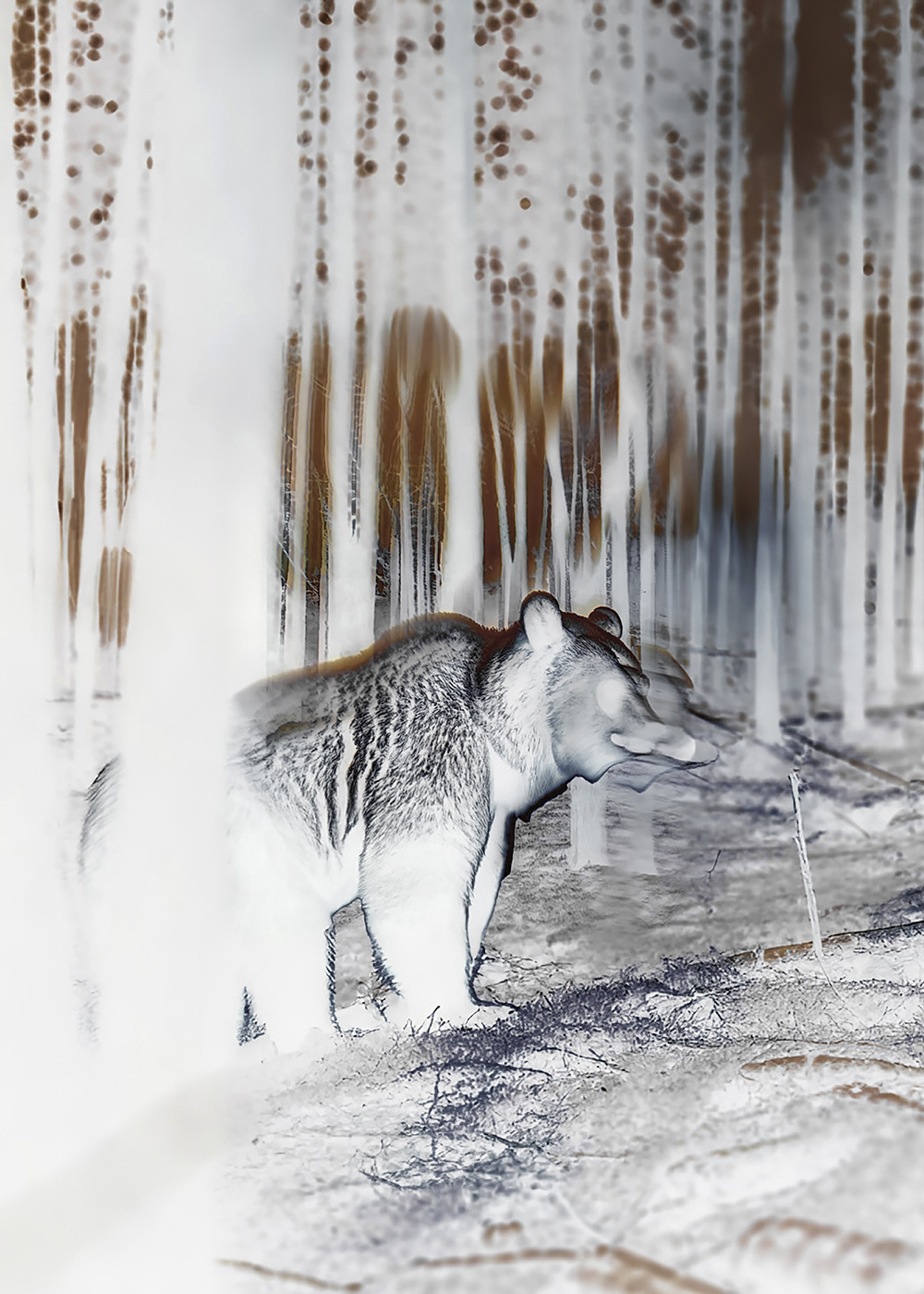 Synthetic Refugium 01 gallery Ewa Doroszenko