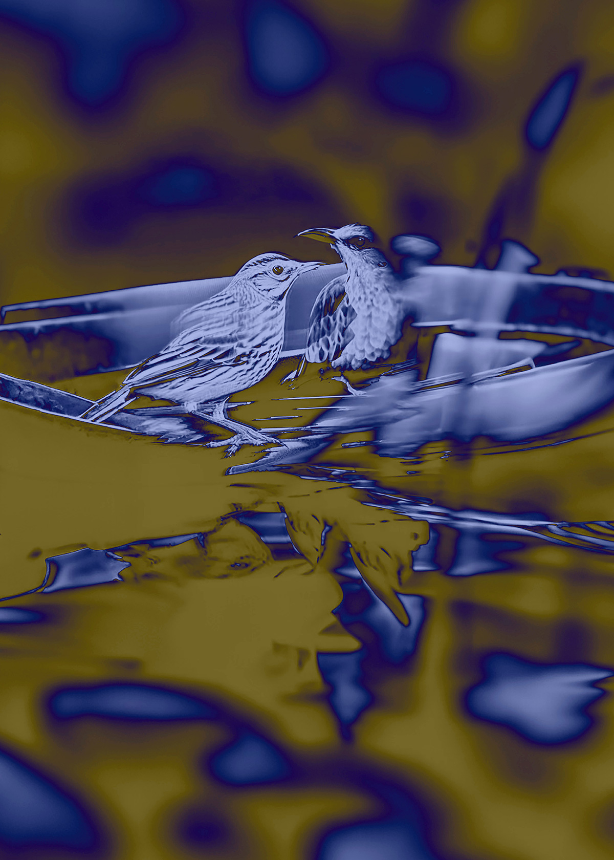 Synthetic Refugium 03 gallery Ewa Doroszenko