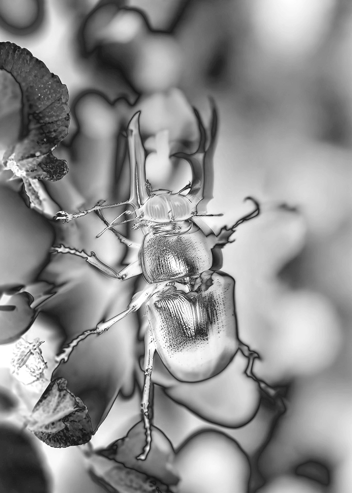 Synthetic Refugium 04 gallery Ewa Doroszenko