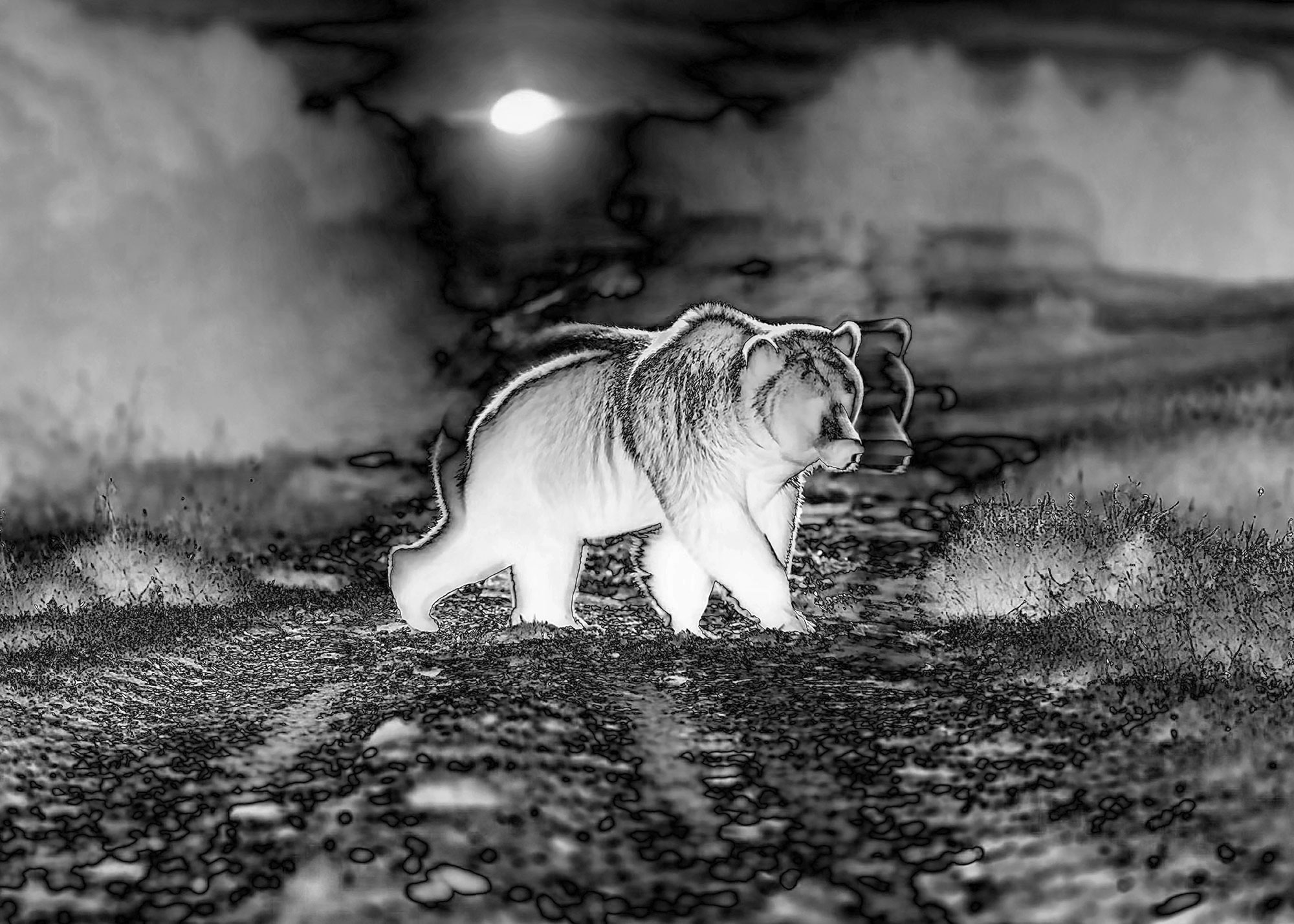 Synthetic Refugium 05 gallery Ewa Doroszenko