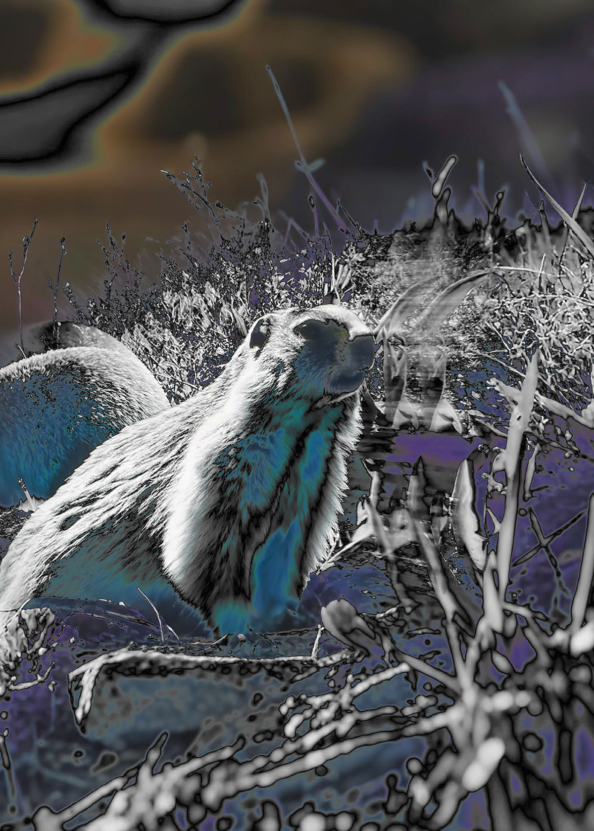 Synthetic Refugium 09 gallery Ewa Doroszenko