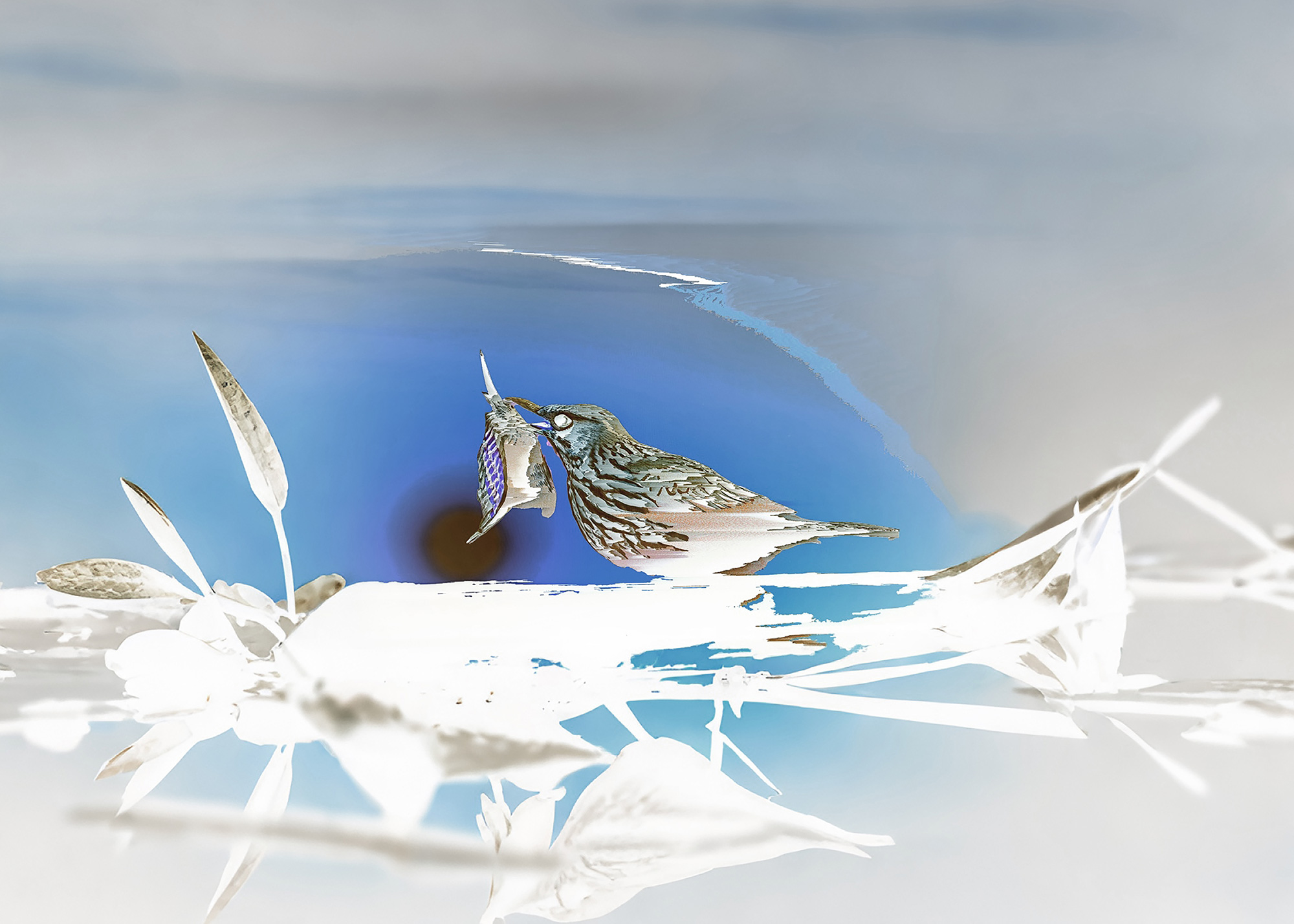 Synthetic Refugium 10 gallery Ewa Doroszenko