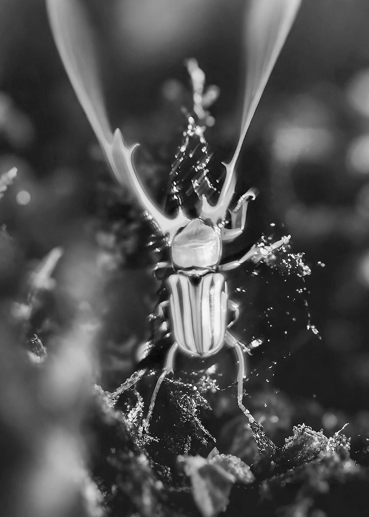 Synthetic Refugium 12 gallery Ewa Doroszenko