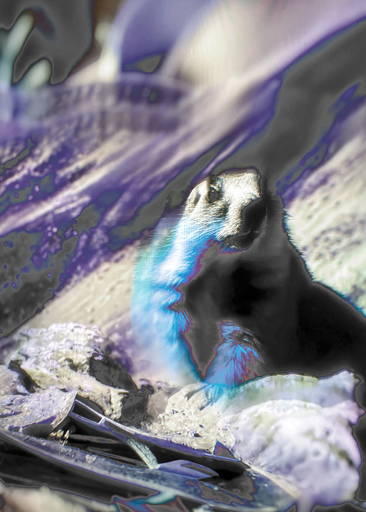 Synthetic Refugium 13 gallery Ewa Doroszenko