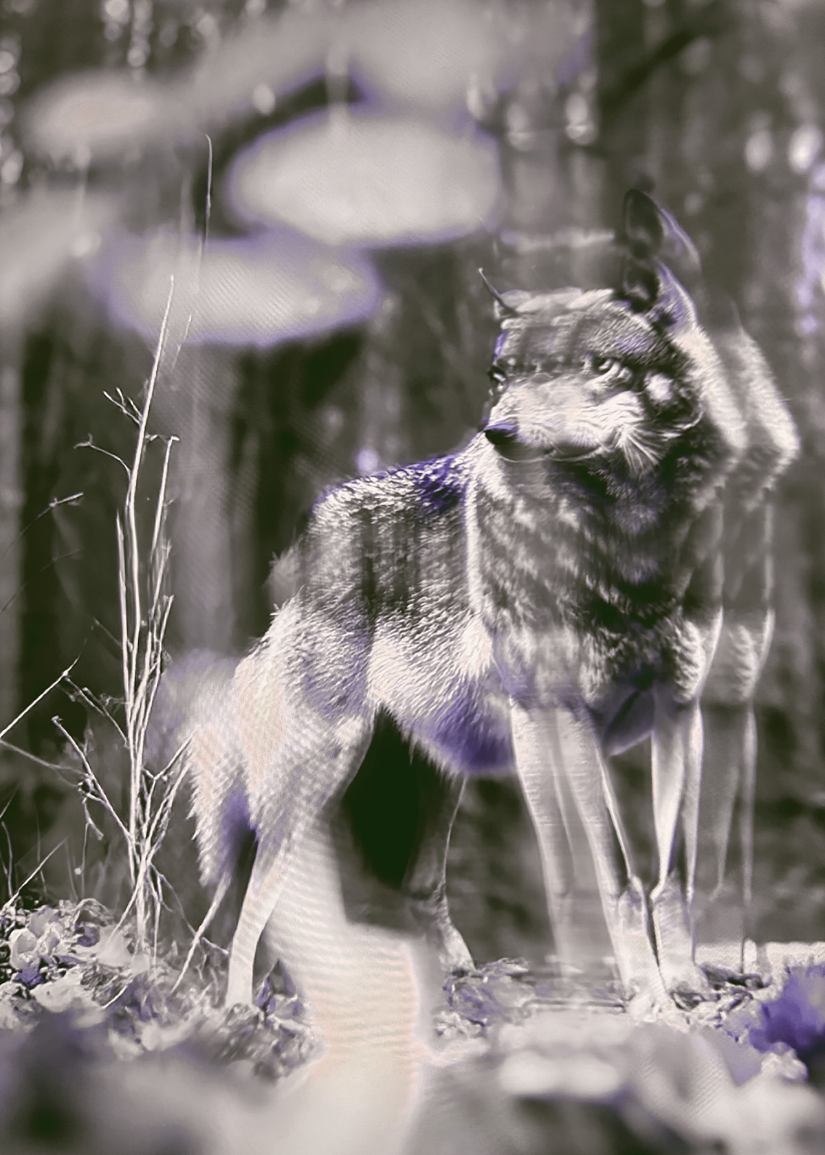 Synthetic Refugium 14 gallery Ewa Doroszenko