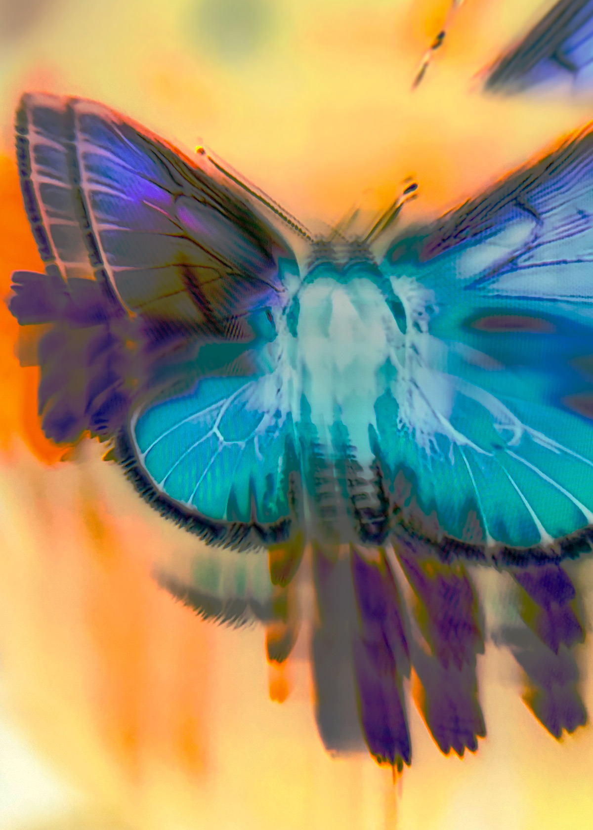 Synthetic Refugium 16 gallery Ewa Doroszenko