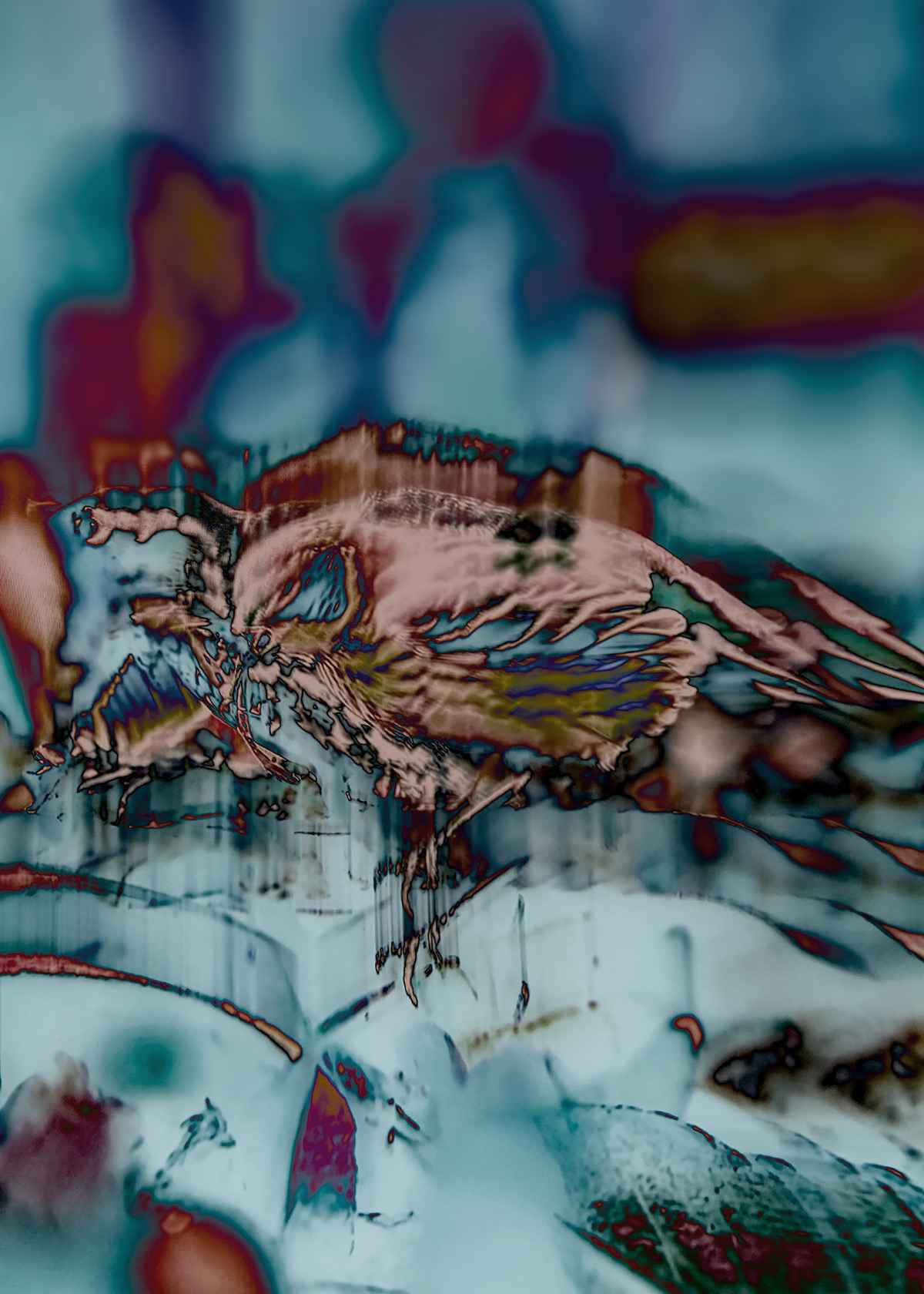 Synthetic Refugium 17 gallery Ewa Doroszenko