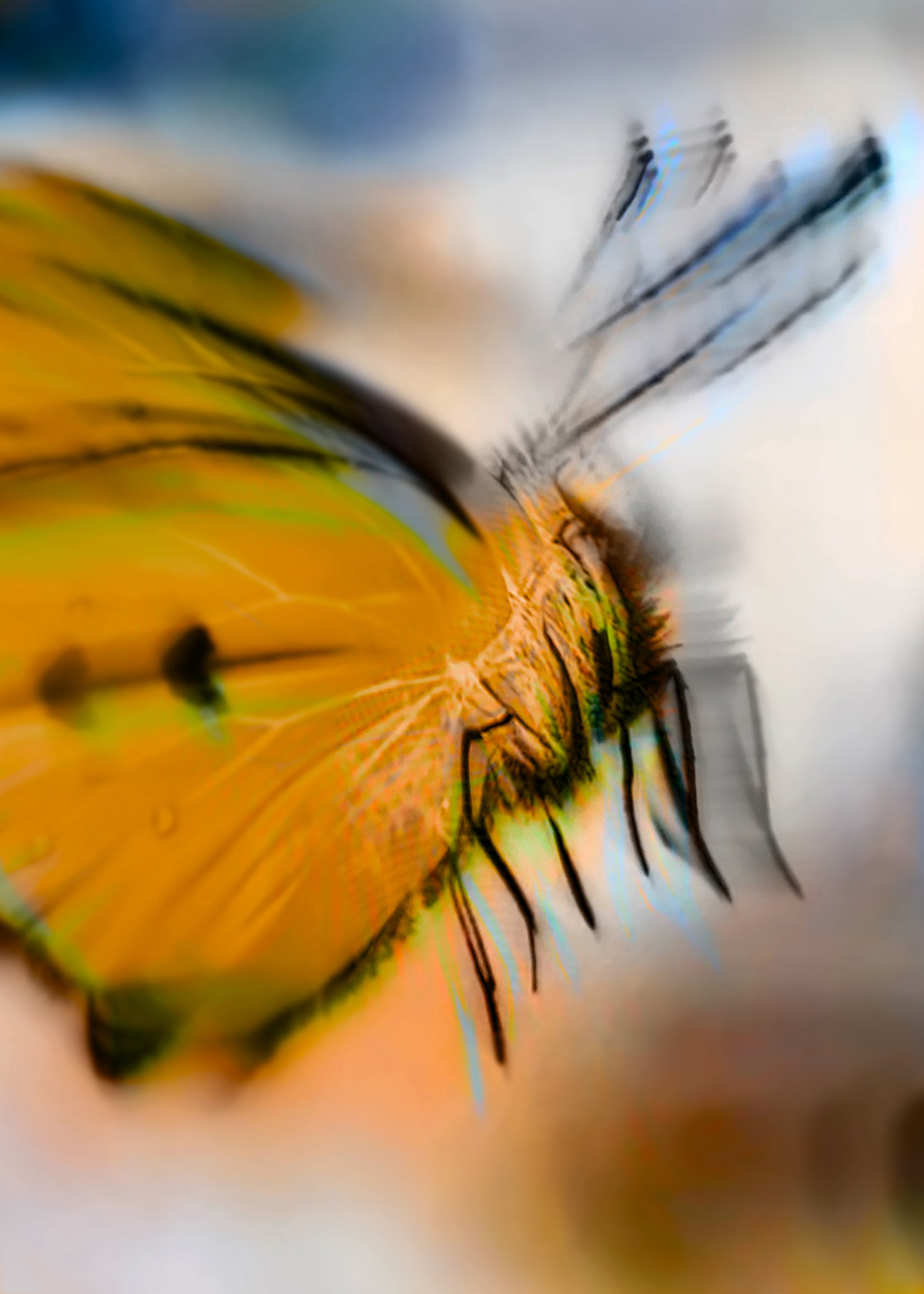 Synthetic Refugium 18 gallery Ewa Doroszenko