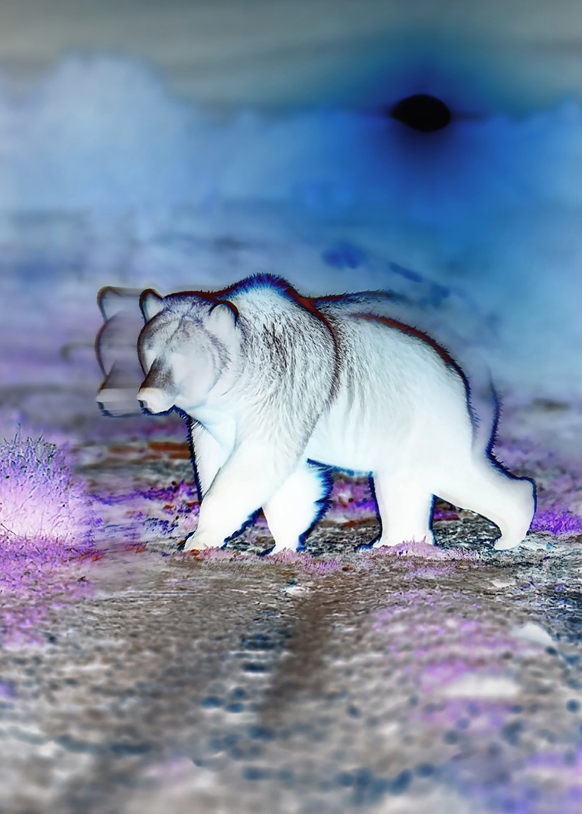 Synthetic Refugium 19 gallery Ewa Doroszenko