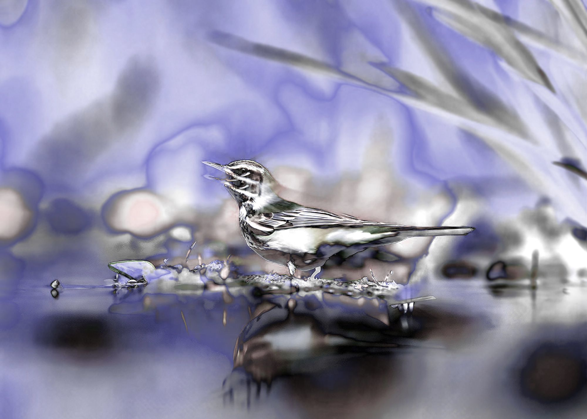 Synthetic Refugium 20 gallery Ewa Doroszenko