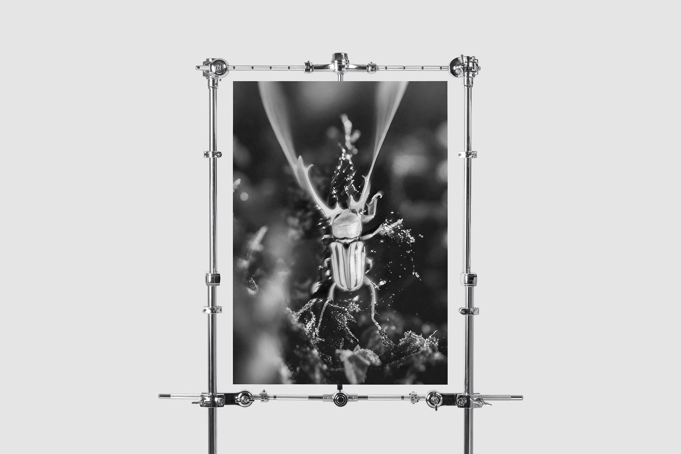 Synthetic Refugium exhibition 09 Ewa Doroszenko