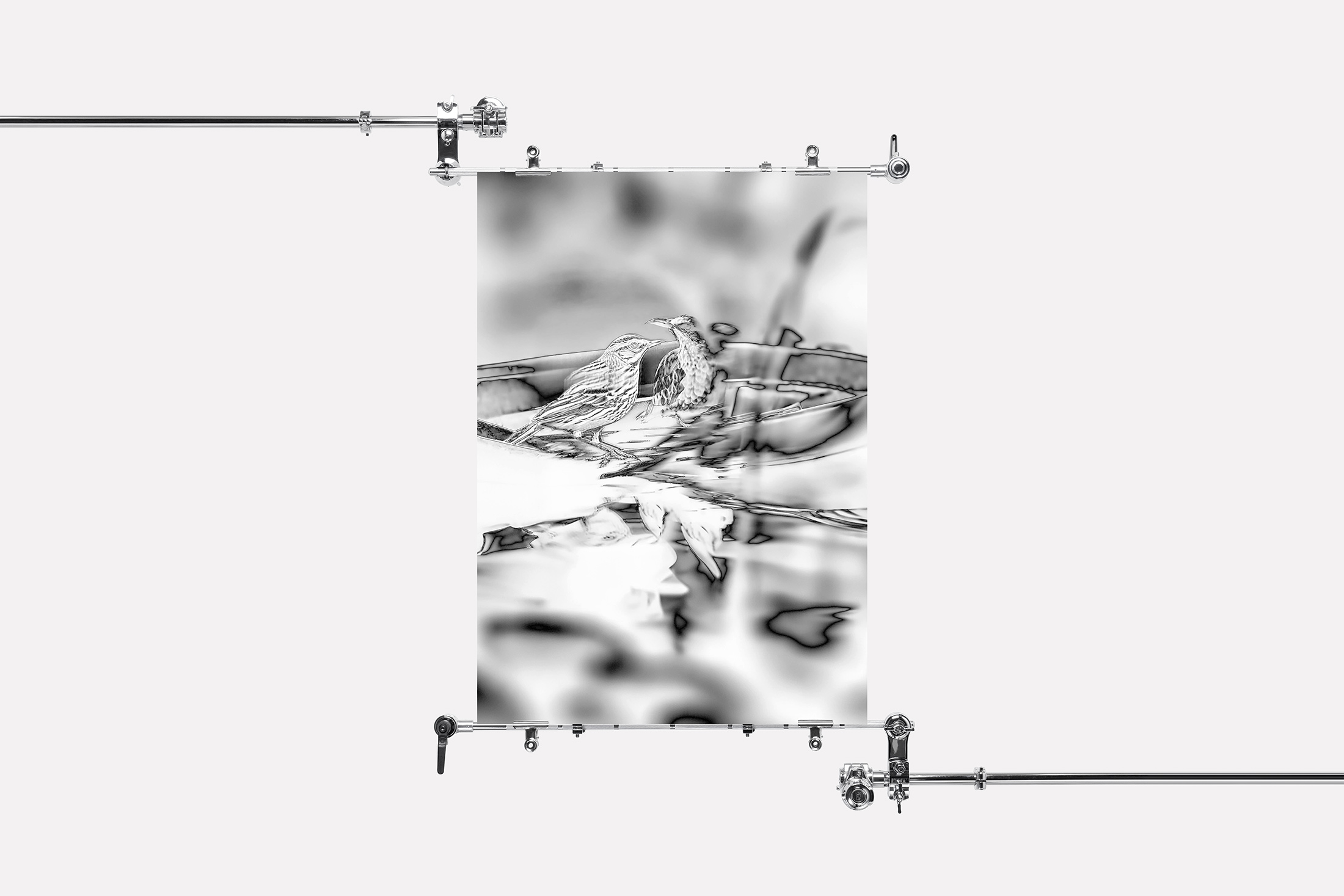 Synthetic Refugium exhibition 13 Ewa Doroszenko