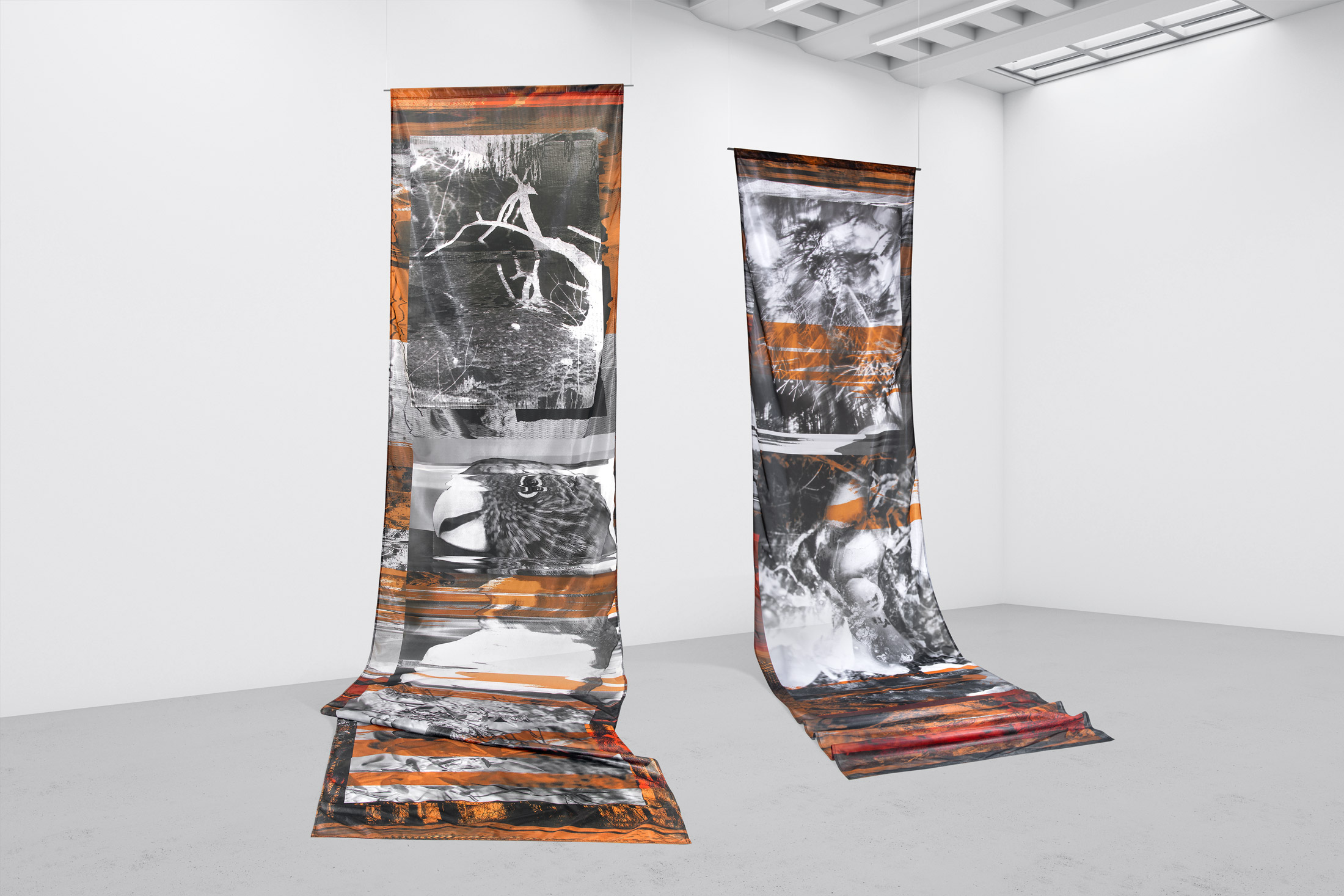 Symbiotic Sense Exhibition – Ewa Doroszenko